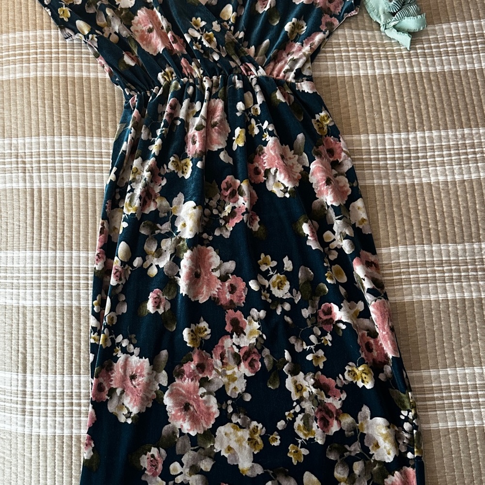 Pinkblush velvet Maternity Dress